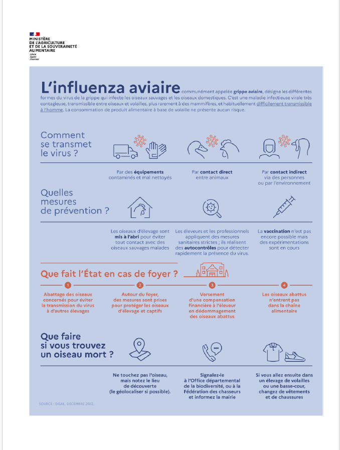 INFO GRIPPE AVIAIRE