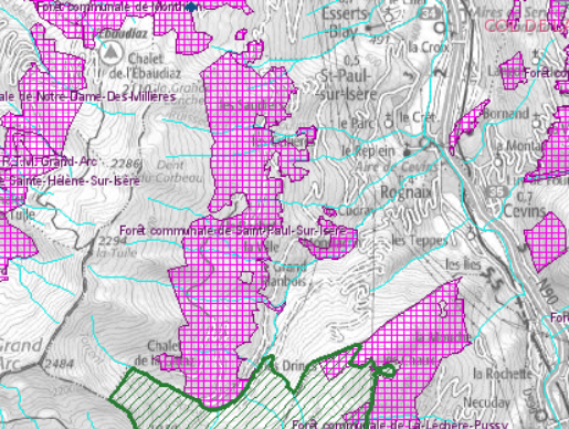 plan foret communlae